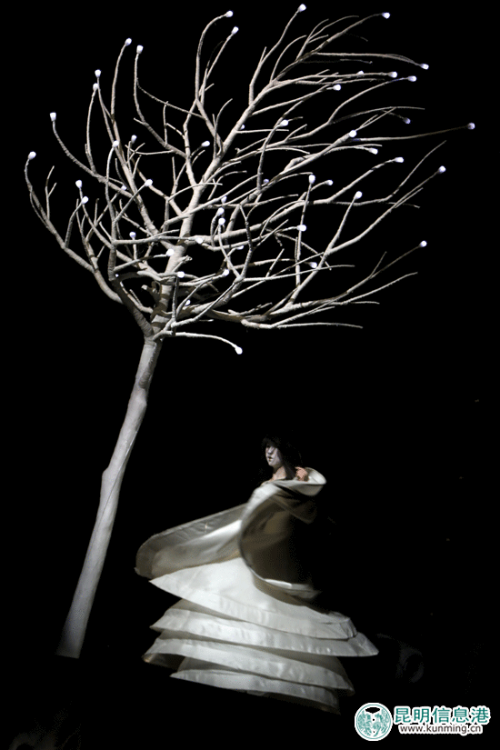 楊麗萍舞劇《孔雀之冬》昆明首演 楊麗萍舞劇《孔雀之冬》昆明首演