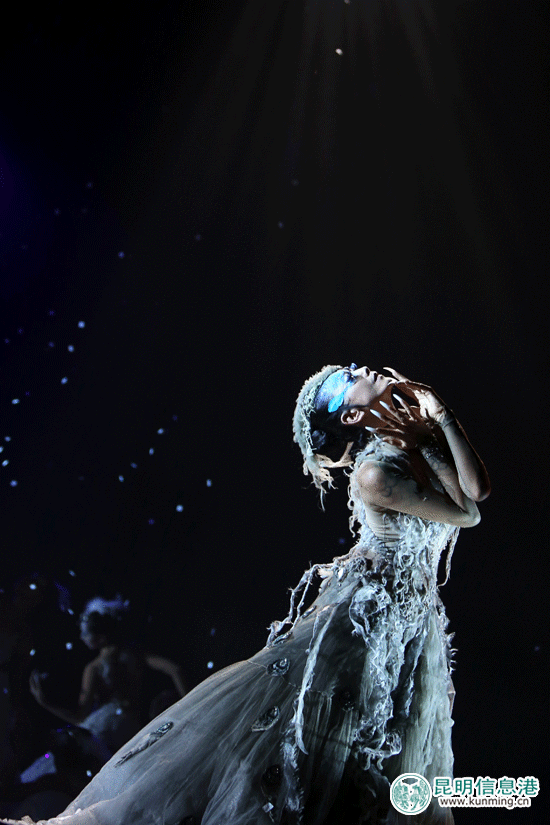 楊麗萍舞劇《孔雀之冬》昆明首演 楊麗萍舞劇《孔雀之冬》昆明首演