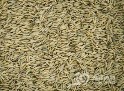 8招助你每天多吃3倍膳食纖維