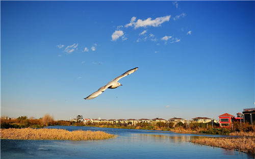 昆明,滇池,水質(zhì)