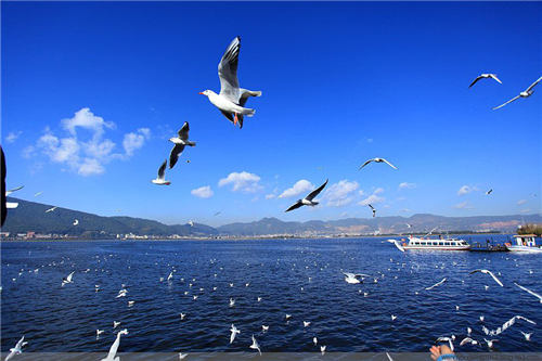 昆明,滇池,水質(zhì)