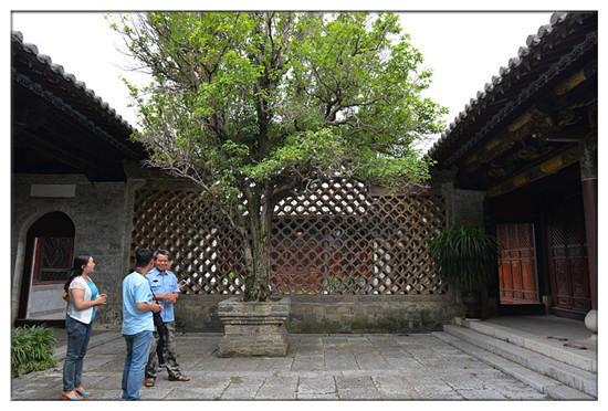 建水西莊鎮(zhèn)新房古村 黃氏宗祠“鳳在上龍?jiān)谙隆? border= 建水西莊鎮(zhèn)新房古村 黃氏宗祠“鳳在上龍?jiān)谙隆? align=