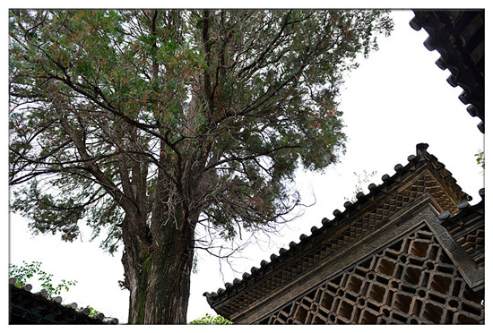 建水西莊鎮(zhèn)新房古村 黃氏宗祠“鳳在上龍?jiān)谙隆? border= 建水西莊鎮(zhèn)新房古村 黃氏宗祠“鳳在上龍?jiān)谙隆? align=