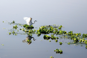 昆明獲'亞洲最受歡迎旅游城市'稱(chēng)號(hào) 半年斬獲11項(xiàng)殊榮 昆明獲'亞洲最受歡迎旅游城市'稱(chēng)號(hào) 半年斬獲11項(xiàng)殊榮