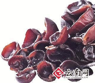 葫蘆絲文化節(jié)美景美食皆稱心