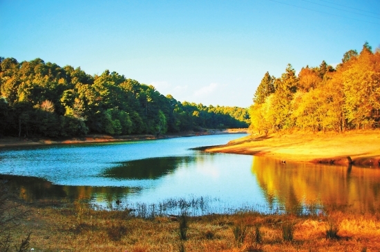 玉溪新平磨盤山國家森林公園成為全國森林體驗基地試點 玉溪新平磨盤山國家森林公園成為全國森林體驗基地試點