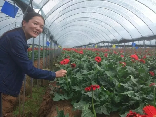 云南尋甸：紅色記憶下的“國(guó)際范”脫貧