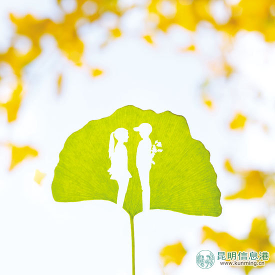 金秋時節(jié)，正是觀賞銀杏的好時節(jié)(創(chuàng)意圖片)