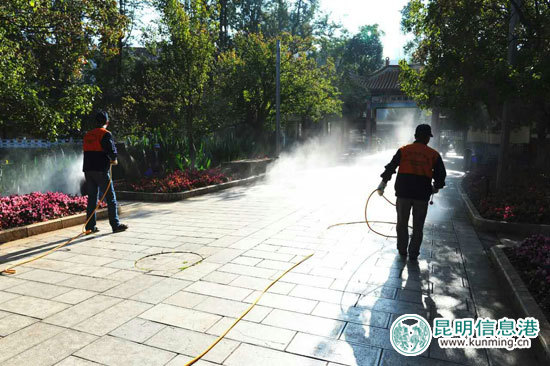 紅嘴鷗如約飛臨 翠湖公園開展迎鷗全園衛(wèi)生消殺工作