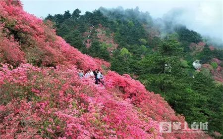 鮮花之城塔城橋城等 昆明居然有這么多實(shí)至名歸的美名