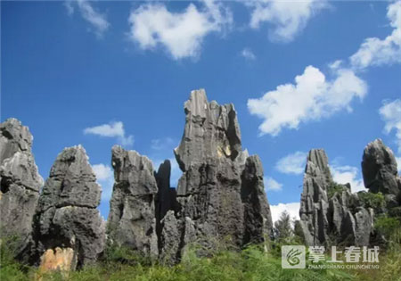 鮮花之城塔城橋城等 昆明居然有這么多實(shí)至名歸的美名