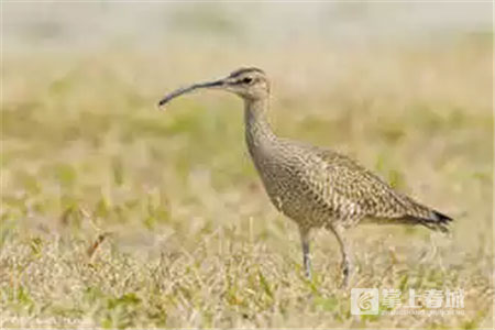 鮮花之城塔城橋城等 昆明居然有這么多實(shí)至名歸的美名