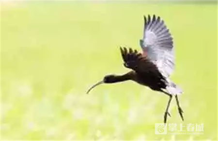 鮮花之城塔城橋城等 昆明居然有這么多實(shí)至名歸的美名