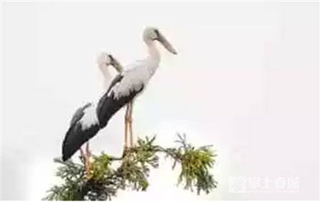 鮮花之城塔城橋城等 昆明居然有這么多實(shí)至名歸的美名