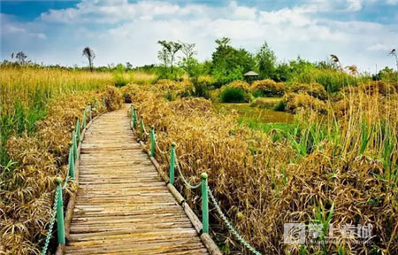 鮮花之城塔城橋城等 昆明居然有這么多實(shí)至名歸的美名