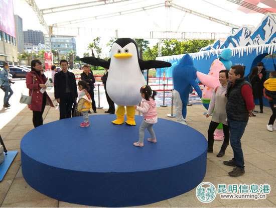 “南極精靈”造訪引市民圍觀