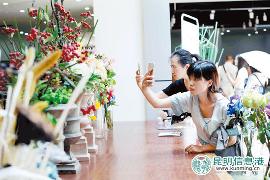 “花卉+文創(chuàng)”助產(chǎn)業(yè)升級(jí) 斗南花市蛻變文化創(chuàng)意產(chǎn)業(yè)園