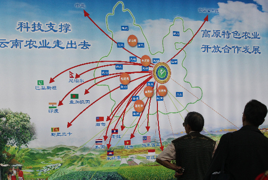 云南改革開(kāi)放
