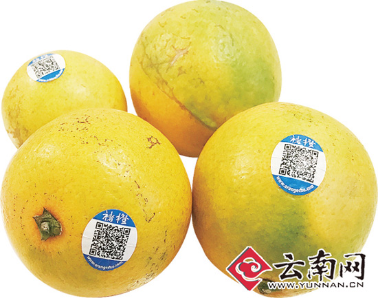 褚橙難求真假難辨 官方：直營店每天到貨不超過50件