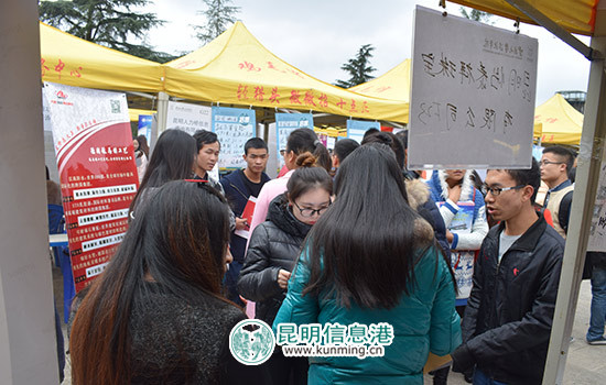 2017屆民辦高校畢業(yè)生雙向擇洽會在云大滇池學院舉行 2017屆民辦高校畢業(yè)生雙向擇洽會在云大滇池學院舉行