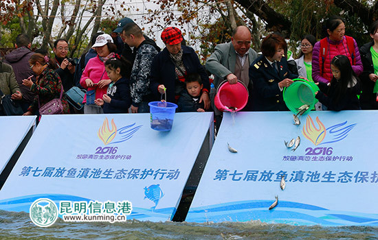 36個“市民河長”團現(xiàn)場受聘 10萬噸魚苗放入滇池