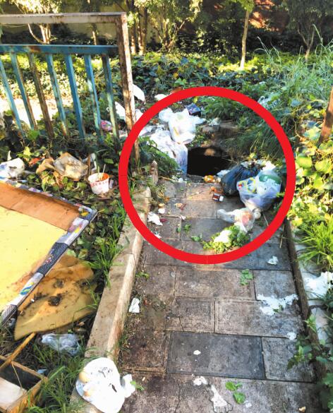 十四冶宿舍管理方綠化帶里挖通道扔垃圾 洞邊又臟又危險(xiǎn)