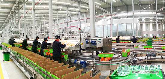 農(nóng)夫山泉信豐工廠首度對(duì)外公開