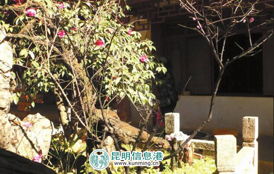 黑龍?zhí)洱埲^修繕完工 '四異木'閉關(guān)8年將出關(guān)