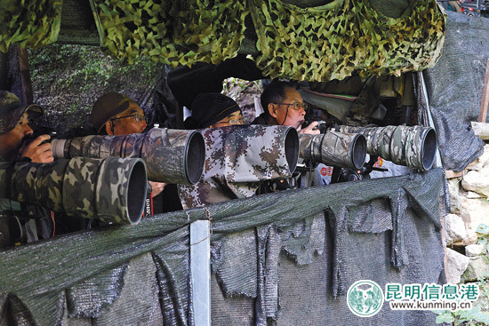 首屆高黎貢山國際觀鳥節(jié)保山開幕 200余攝影愛好者前往拍攝 首屆高黎貢山國際觀鳥節(jié)保山開幕 200余攝影愛好者前往拍攝