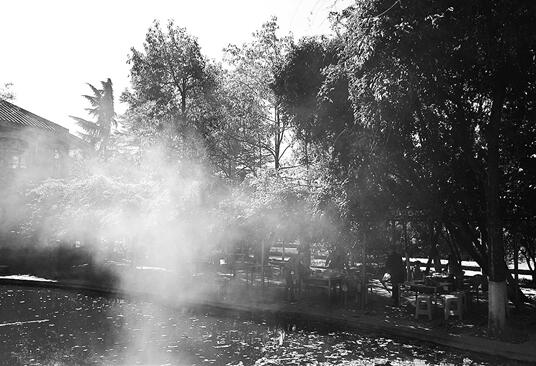 庾園變成燒烤園