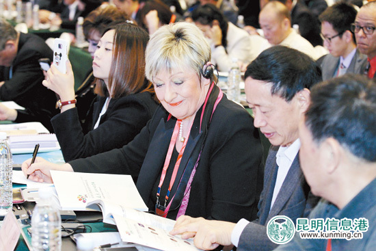 專家學者獻計大健康產(chǎn)業(yè) “個性化+規(guī)?；遍_拓昆明模式