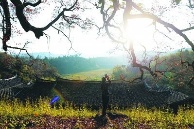 冬季雖冷 德化精品旅游線路引客來(lái)