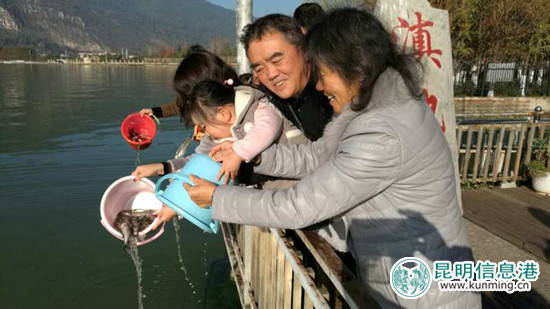 “昆明之美”元旦舉行放魚(yú)節(jié) 510公斤白鰱魚(yú)苗入滇池 “昆明之美”元旦舉行放魚(yú)節(jié) 510公斤白鰱魚(yú)苗入滇池
