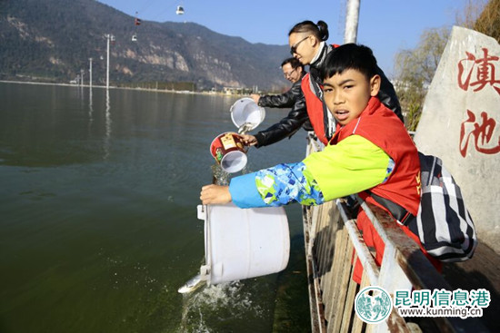 “昆明之美”元旦舉行放魚(yú)節(jié) 510公斤白鰱魚(yú)苗入滇池 “昆明之美”元旦舉行放魚(yú)節(jié) 510公斤白鰱魚(yú)苗入滇池