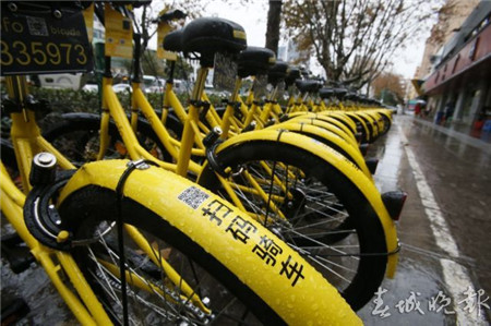 有樁or無樁？讓人操碎了心的昆明共享自行車