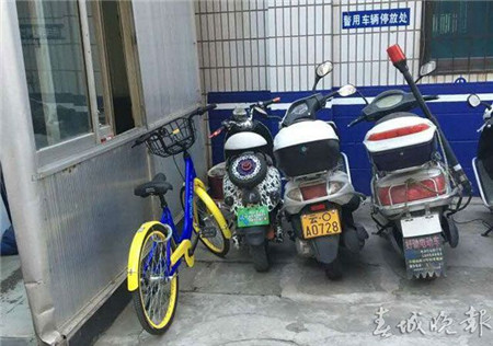 有樁or無樁？讓人操碎了心的昆明共享自行車