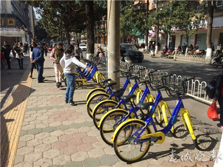 有樁or無樁？讓人操碎了心的昆明共享自行車