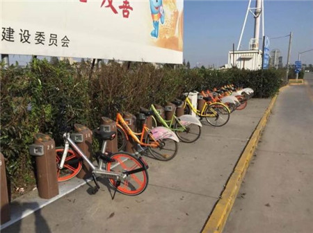 有樁or無樁？讓人操碎了心的昆明共享自行車