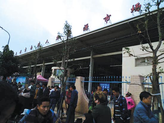 工作,春節(jié),回家