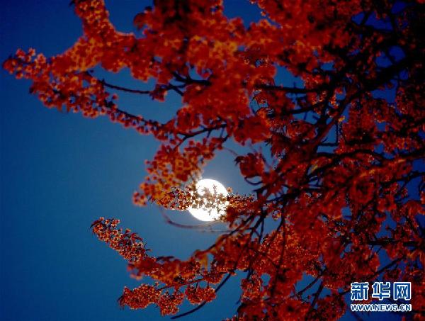 春城,冬天,月亮