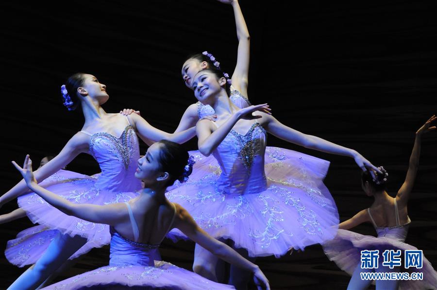 維也納舉行中國新年音樂會 維也納舉行中國新年音樂會