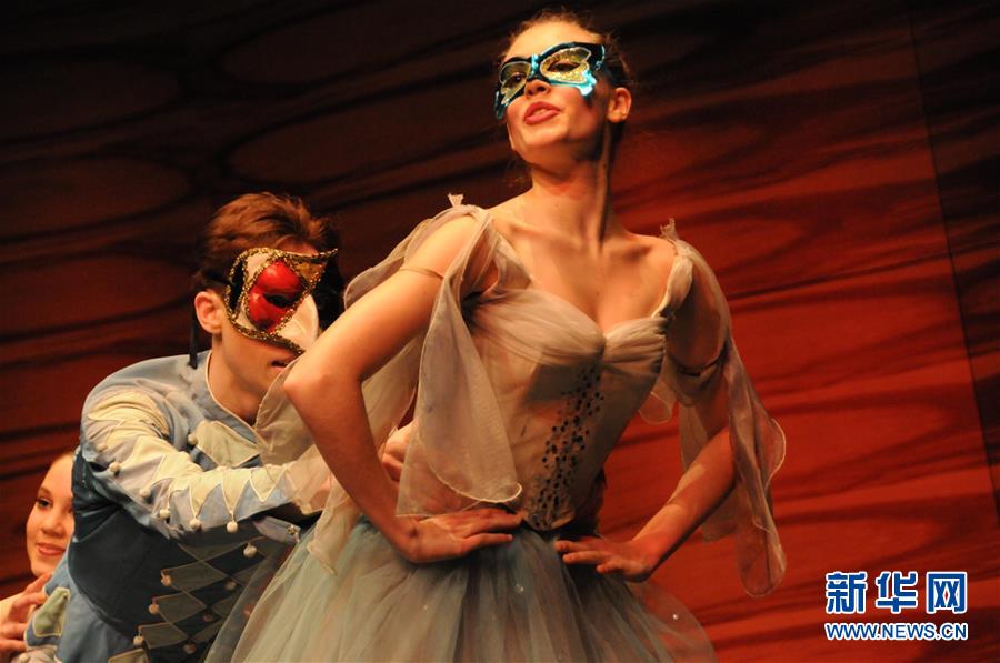 維也納舉行中國新年音樂會 維也納舉行中國新年音樂會