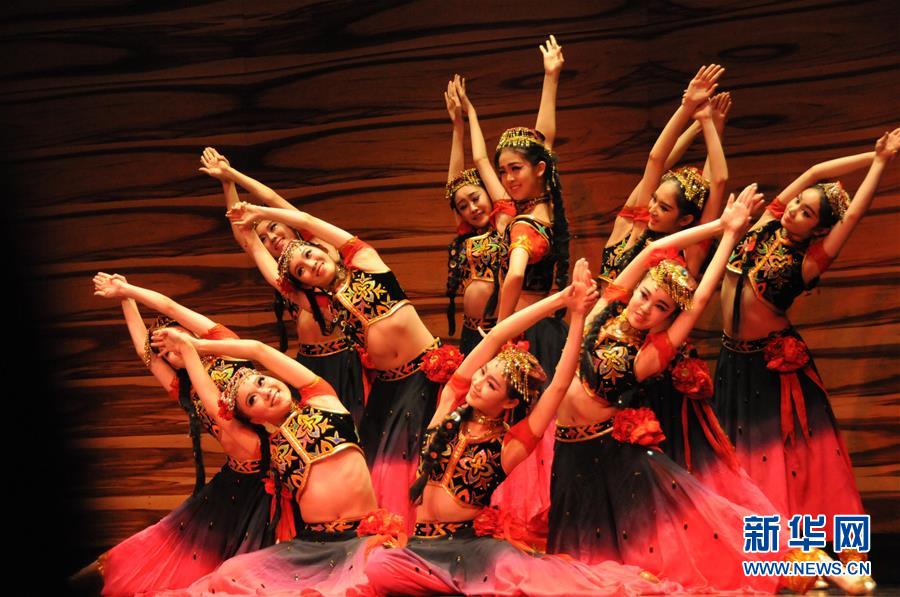 維也納舉行中國新年音樂會 維也納舉行中國新年音樂會