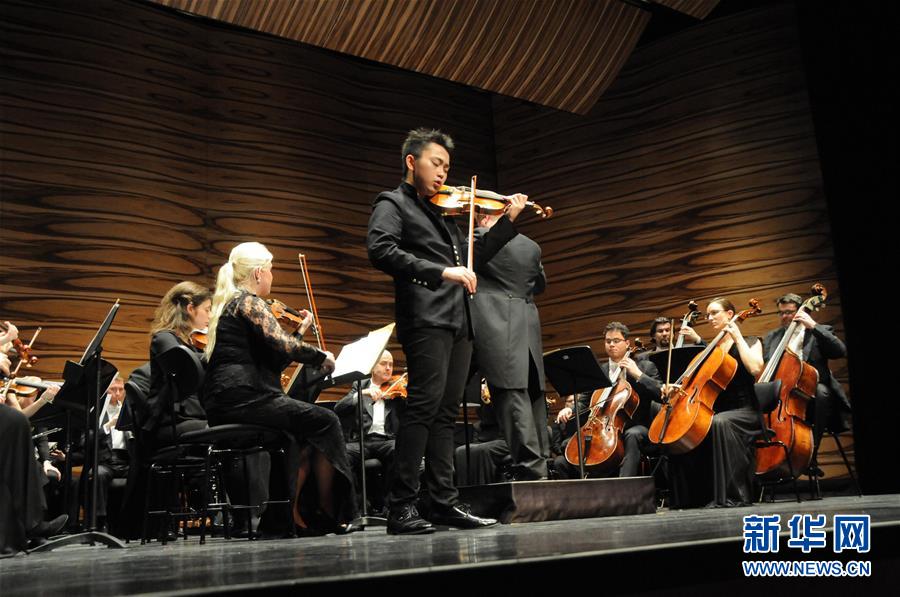 維也納舉行中國新年音樂會 維也納舉行中國新年音樂會