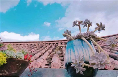 春節(jié),訂房,大理 春節(jié),訂房,大理