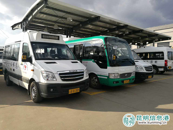 昆明人過了個“假冬天” 撈魚河郁金香進入“真花期”