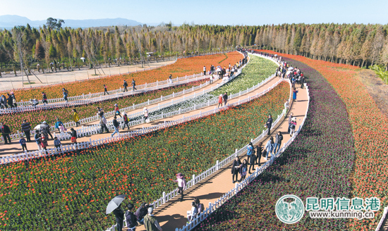 春節(jié)長(zhǎng)假環(huán)滇池濕地垃圾增多 市滇管執(zhí)法人員責(zé)令整改 春節(jié)長(zhǎng)假環(huán)滇池濕地垃圾增多 市滇管執(zhí)法人員責(zé)令整改