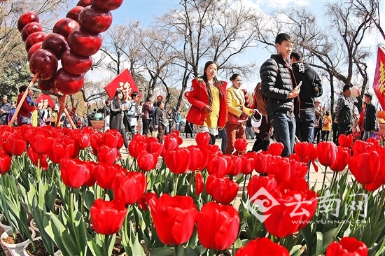 轉(zhuǎn)型升級(jí)傳統(tǒng)景區(qū) 春城旅游突圍進(jìn)行時(shí)