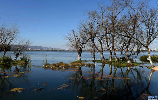 新華社贊滇池治理：“高原明珠”復(fù)蘇 迎來(lái)31年來(lái)最好水質(zhì)