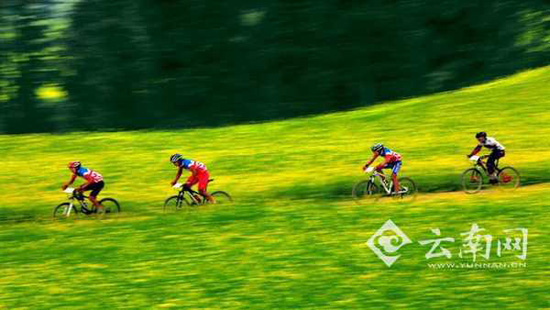 羅平花海馬拉松自行車賽3月舉行